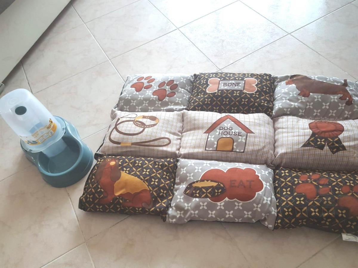 Isotta Guest House Family E Pet Friendly Perugia Exterior foto